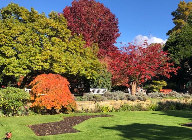 Fletcher Moss Botanical Gardens, United Kingdom